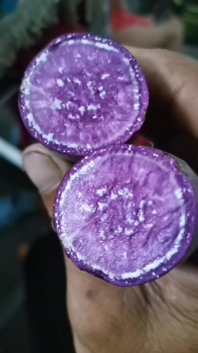 008，小花叶紫薯上市了