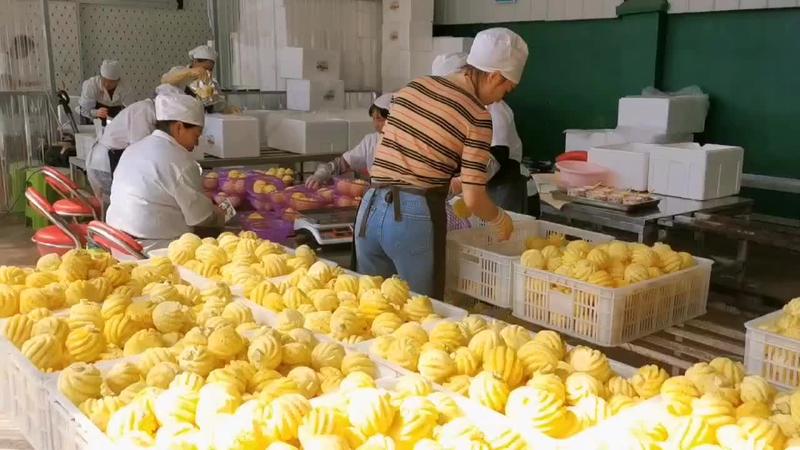 2022热卖第一泰国普吉岛削皮迷你小菠萝纯甜化渣工厂直削
