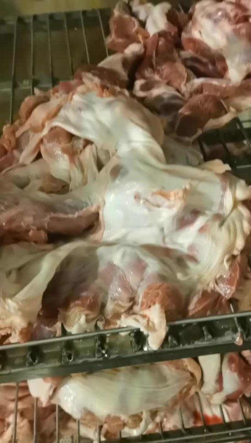 母猪护心肉有5.5吨，货在辽宁，新开检疫