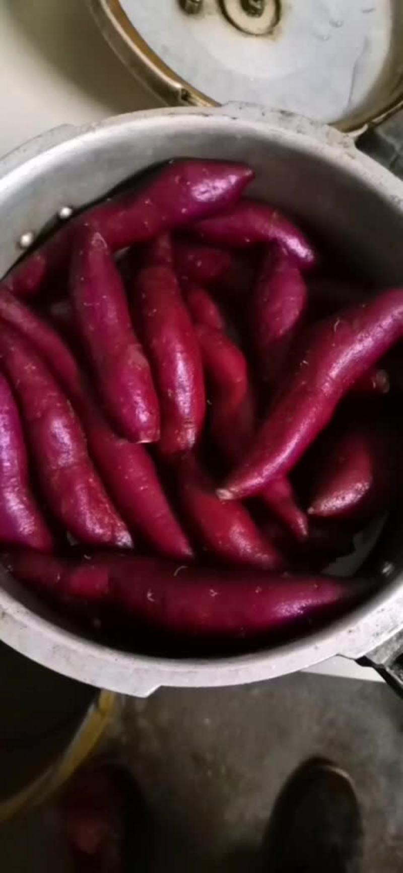 高品质紫薯