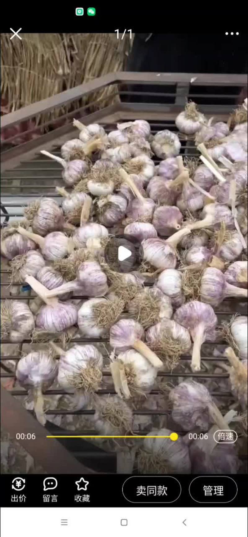 优质大蒜种来自山东金乡，连云港附近的量大可送货上门