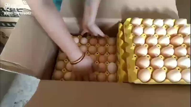 粉壳红心土鸡蛋360枚/箱养殖基地直发