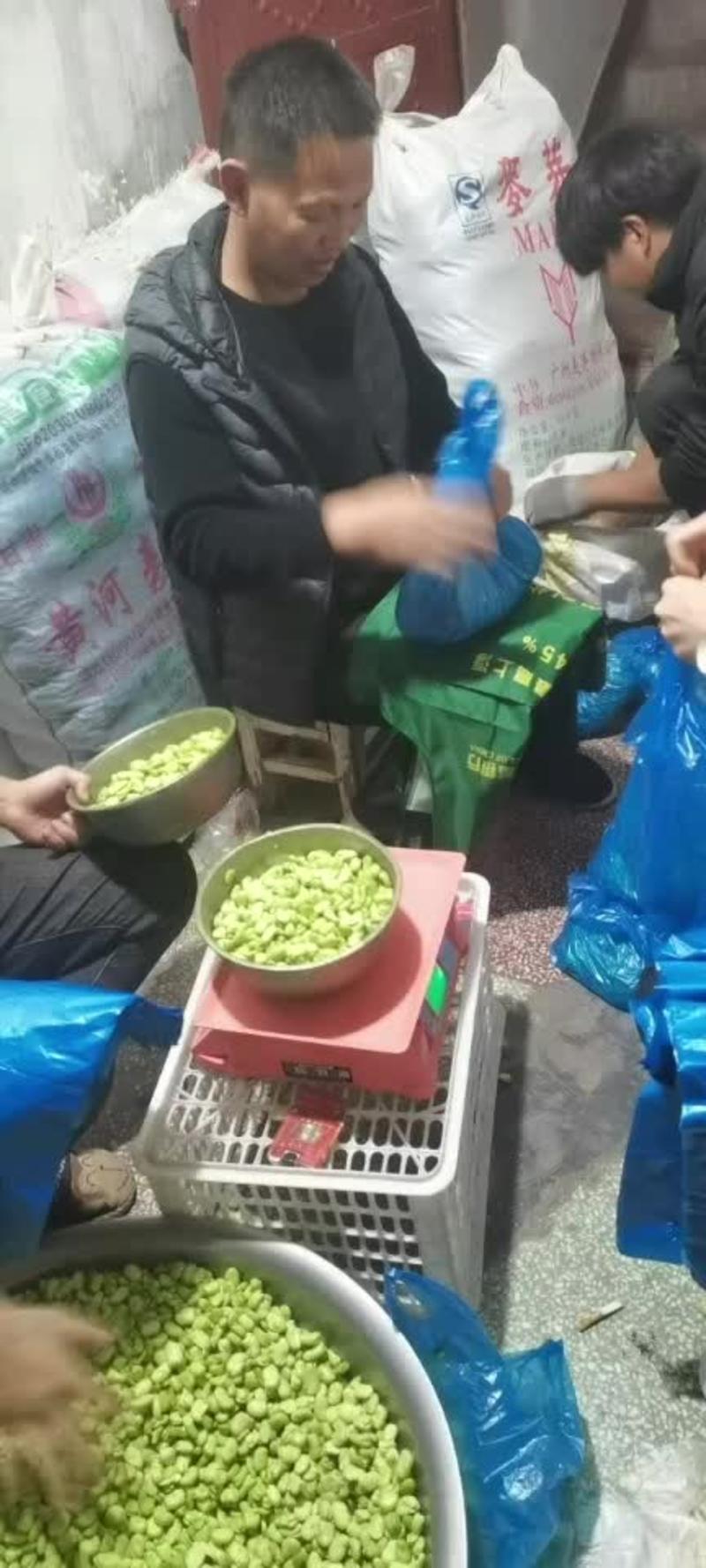 云南新鲜手工胡豆蚕豆米