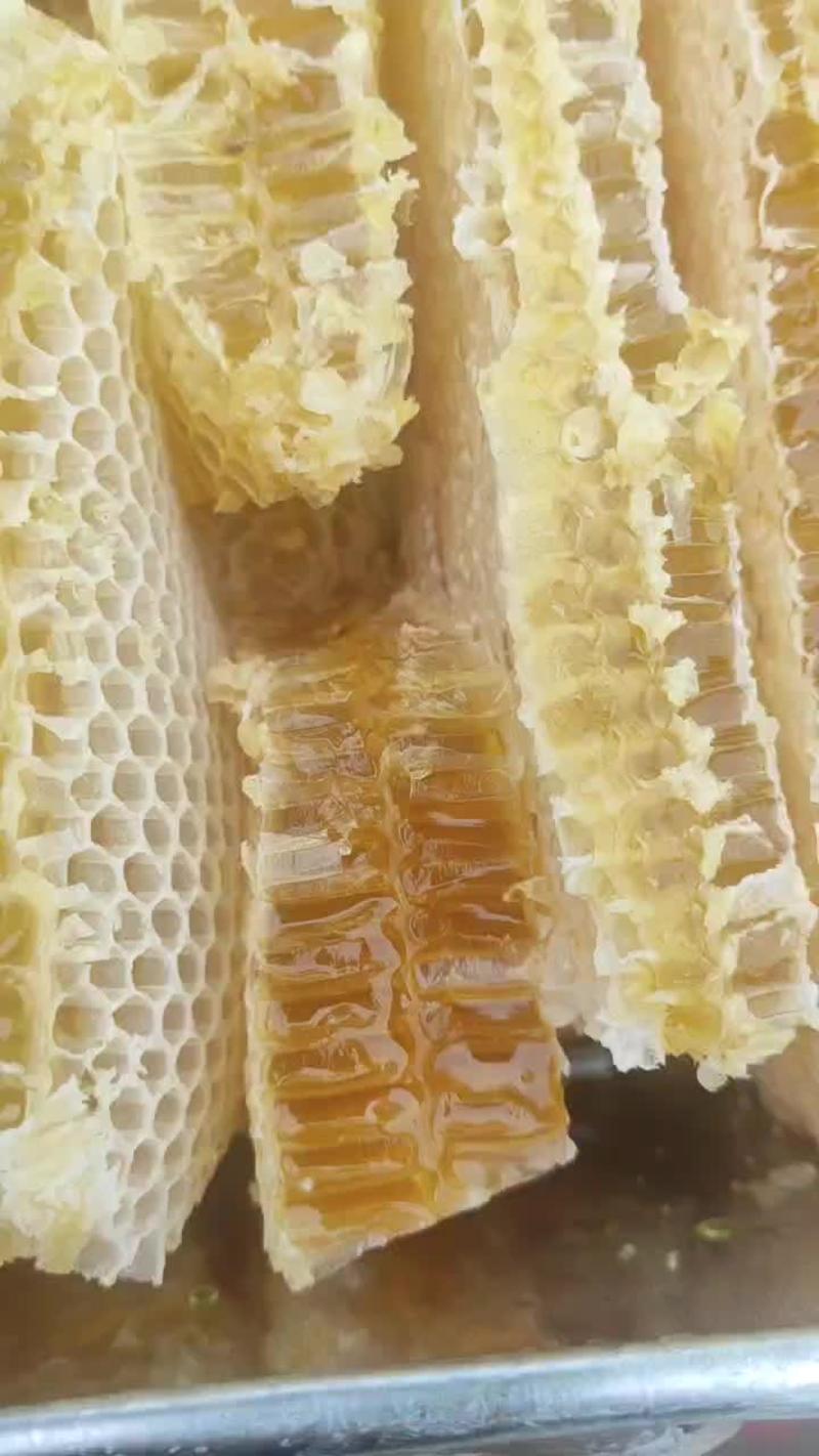 云南文山中蜂巢蜂蜜可以嚼着吃蜂蜜现割现发百花蜜批发压蜜机