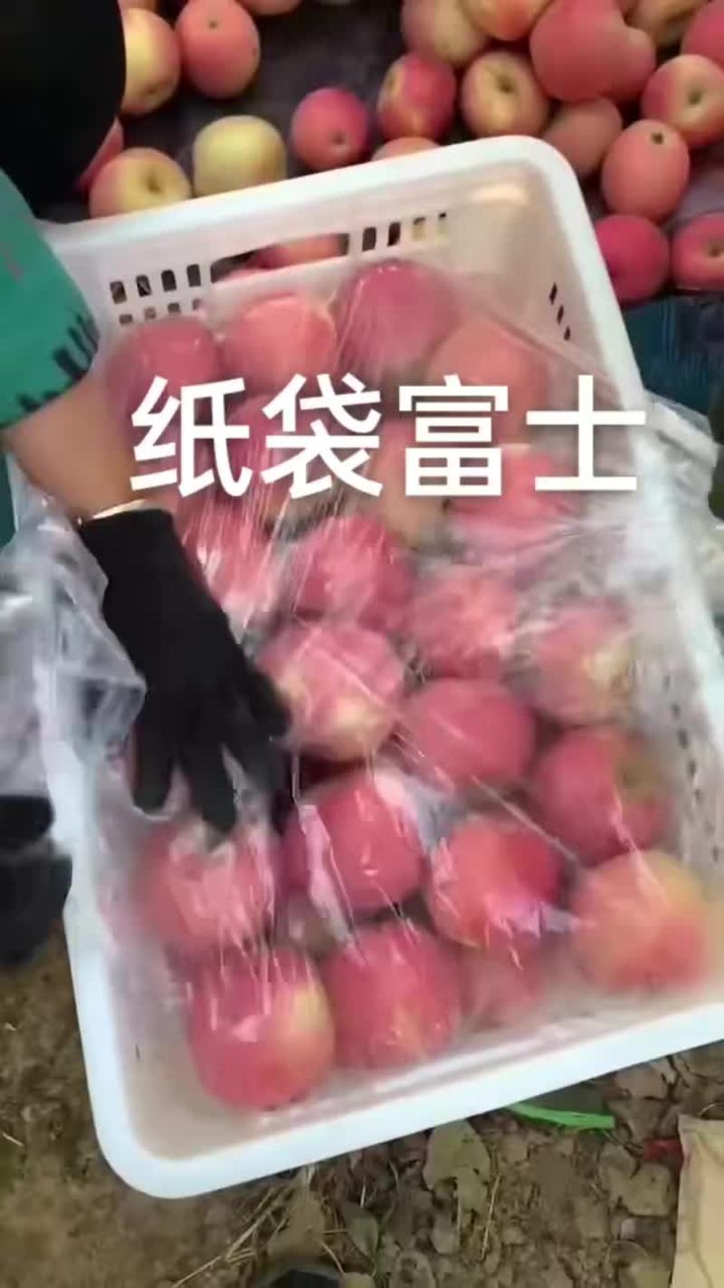 河北本地冰糖心红富士苹果，纸加膜，纸袋，适合电商，超市