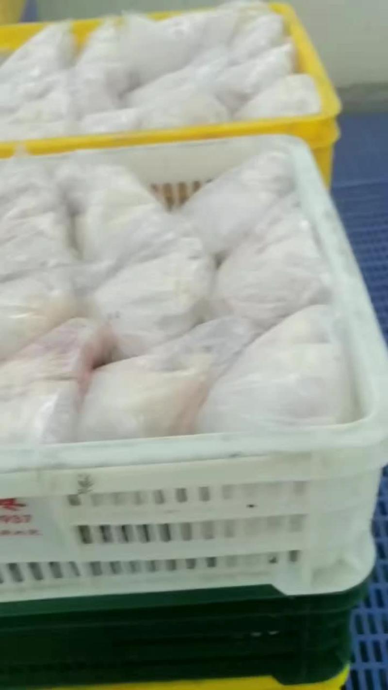 海南文昌鸡鲜品光鸡白条鸡43元/只源头批发