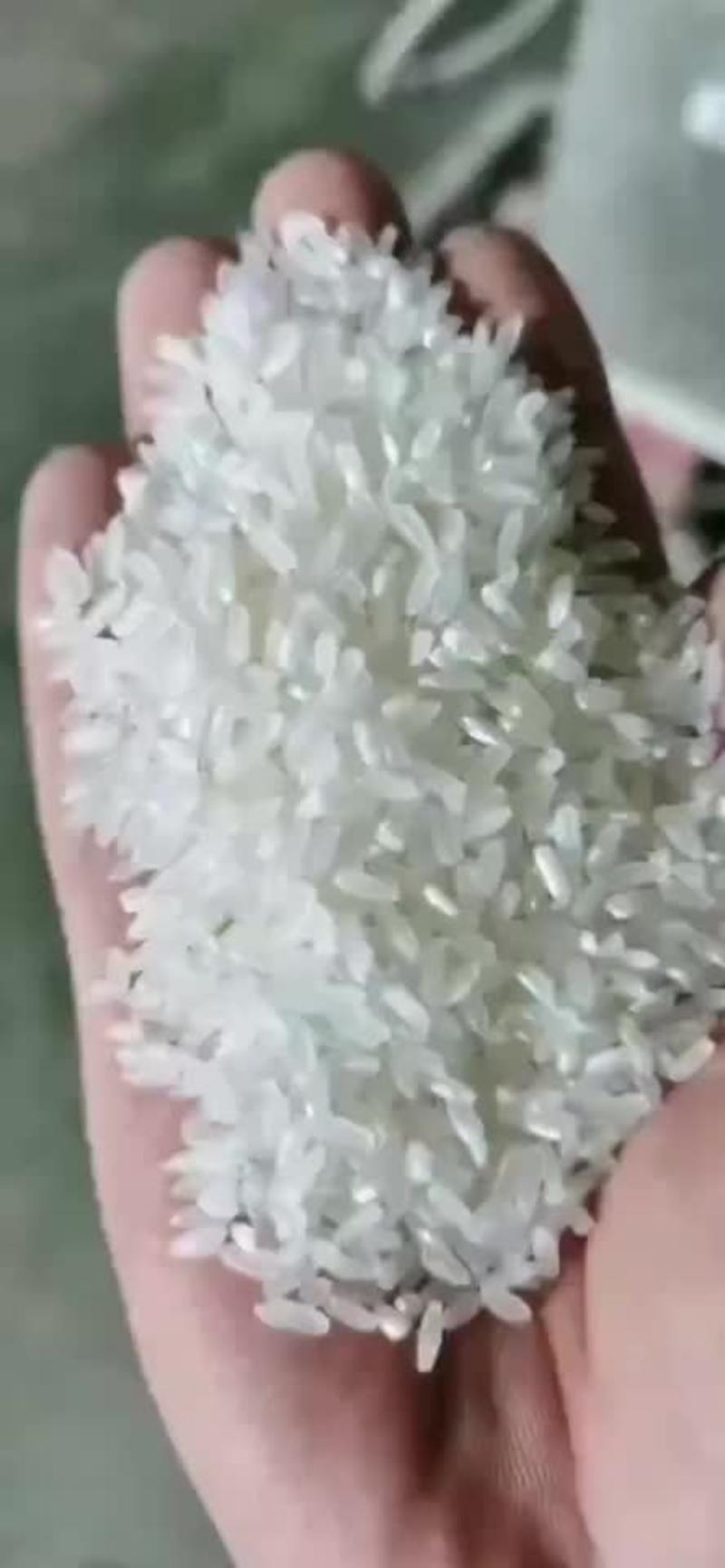 五常稻花香大米精品五常大米产地直发一件代发货量充足
