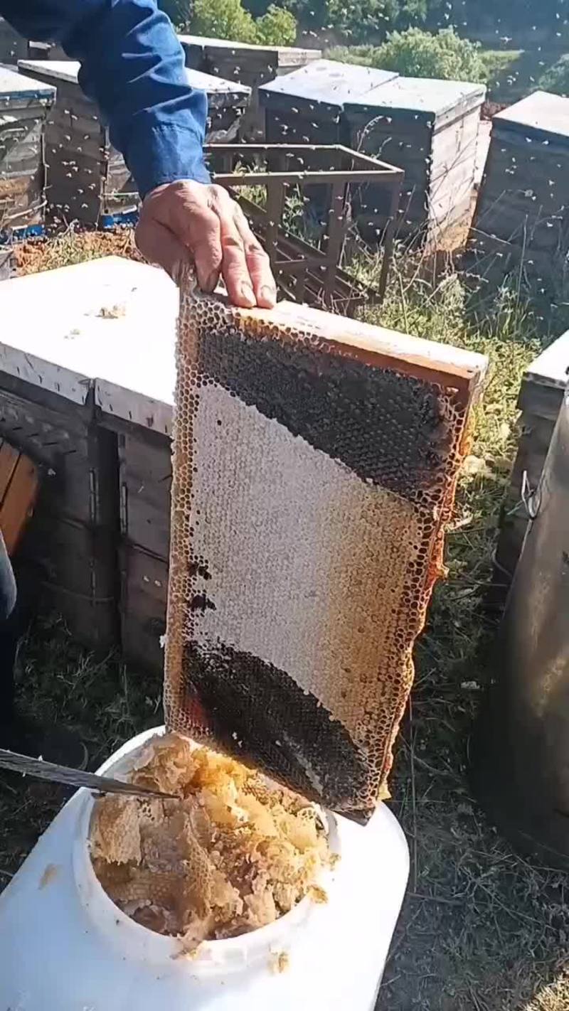 自家养的土蜂蜜，有养蜂协会，产量多