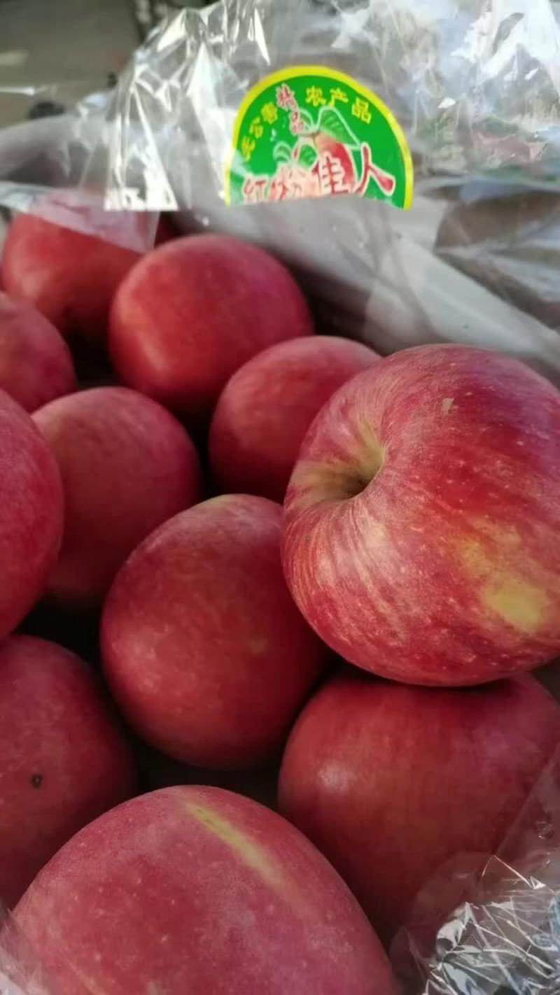 山东苹果产地直销红富士苹果价格