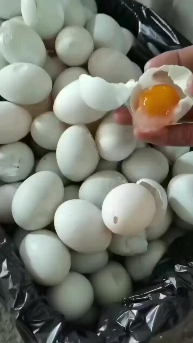 生咸鸭蛋大量有货