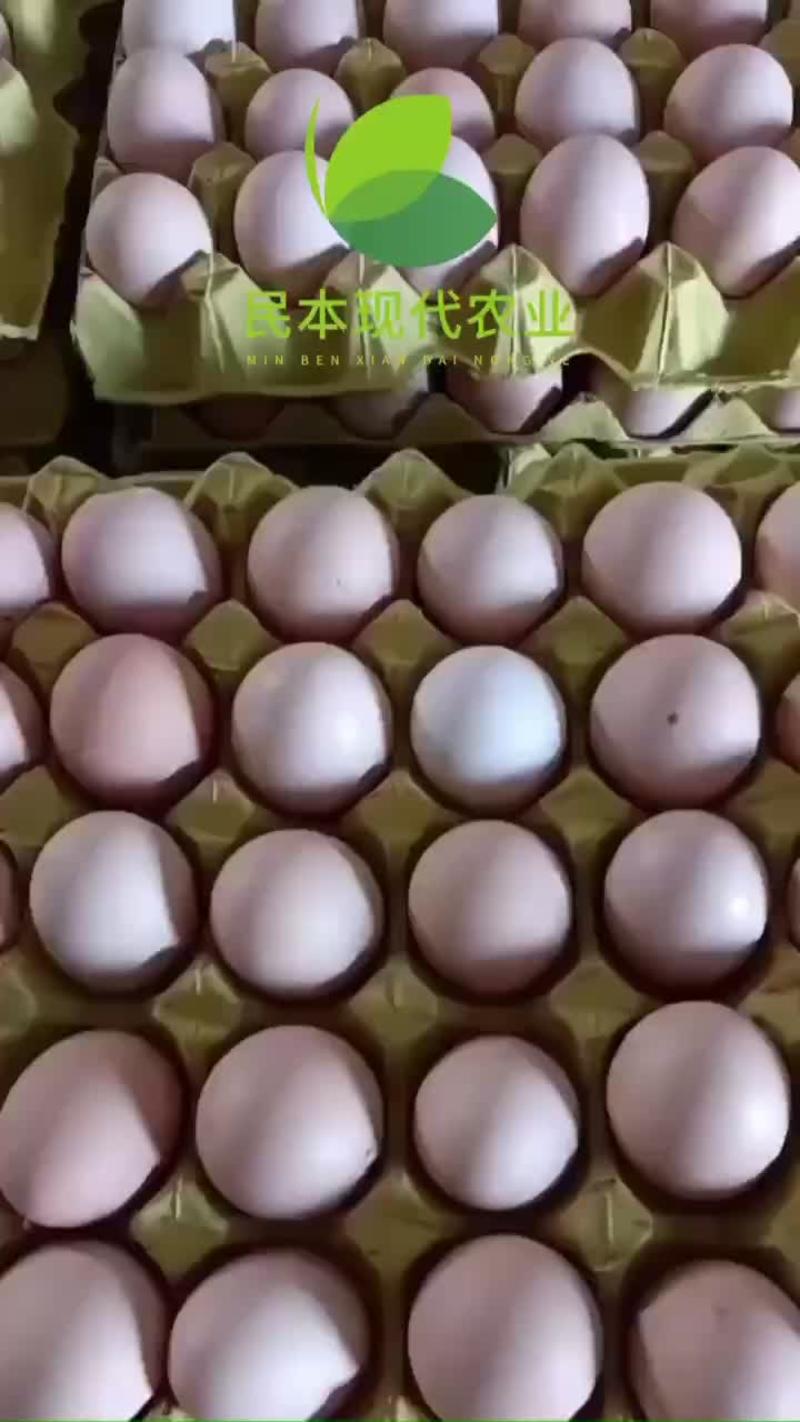 粉壳土鸡蛋双色360枚/箱