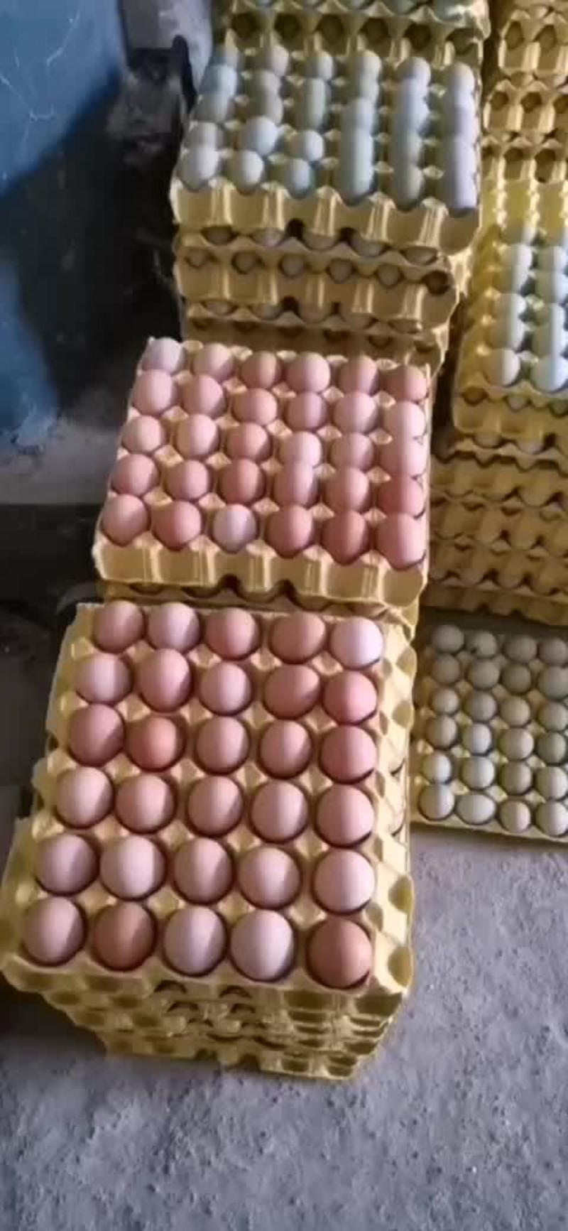 自家养殖场一大量土鸡蛋，量大从优，一手货源，