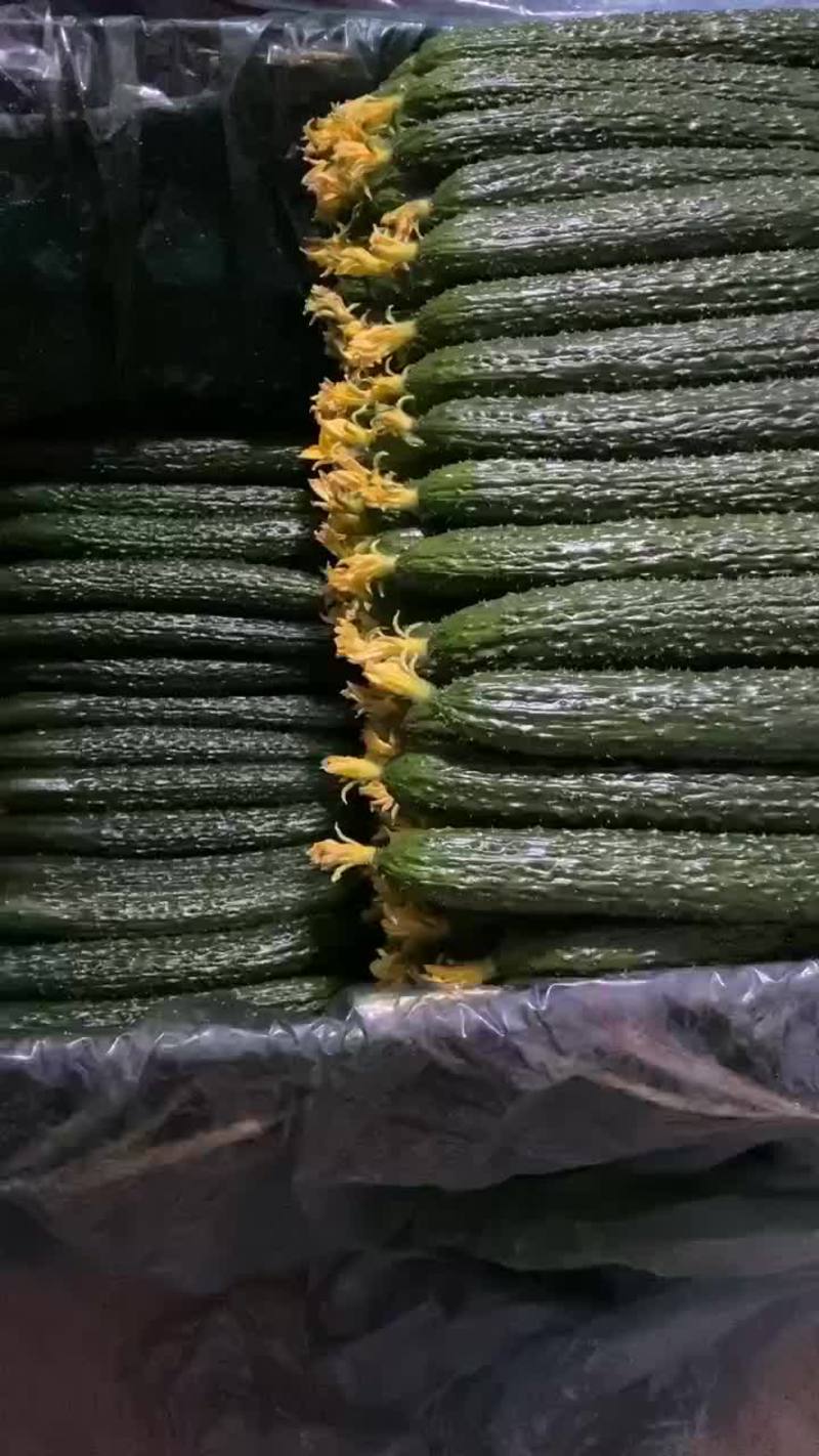 密刺黄瓜，量大，顶花带刺，条直，颜色黑亮，有需要的可以联