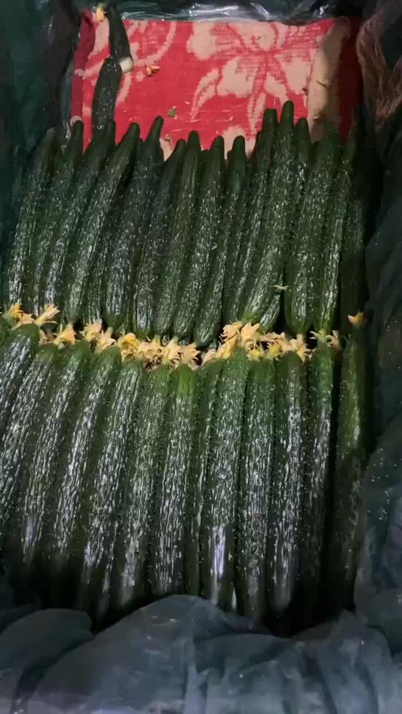 密刺黄瓜，量大，顶花带刺，条直，颜色黑亮，有需要的可以联
