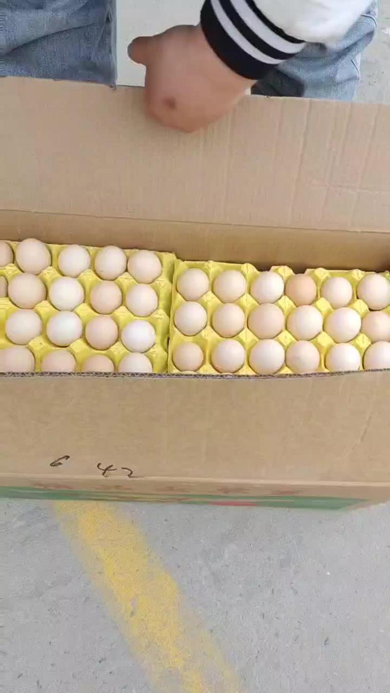 【精品】金凤双色虫草蛋农家鸡蛋一手货源量大优惠