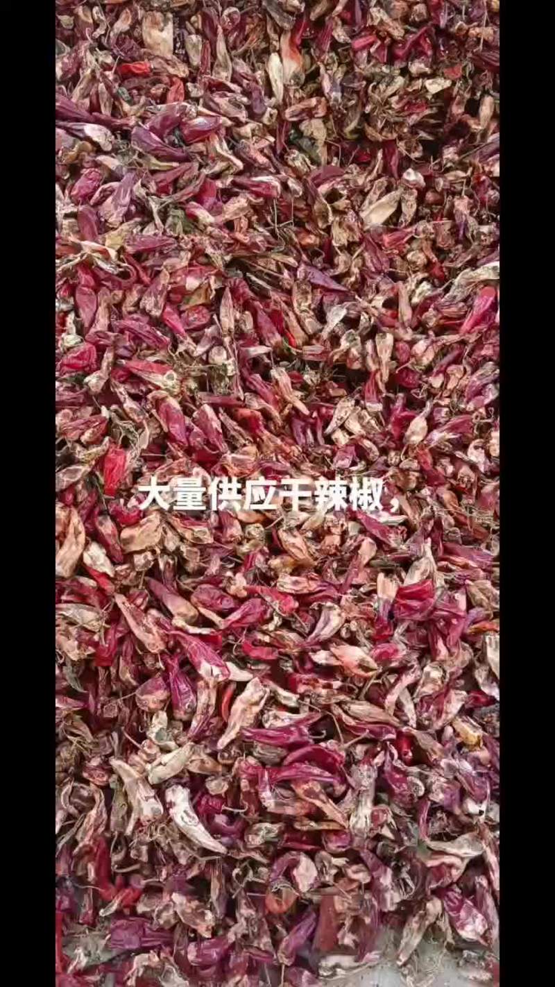 大量供应北京红干辣椒，