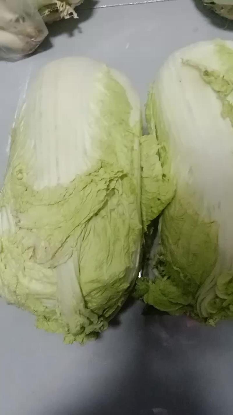 大白菜