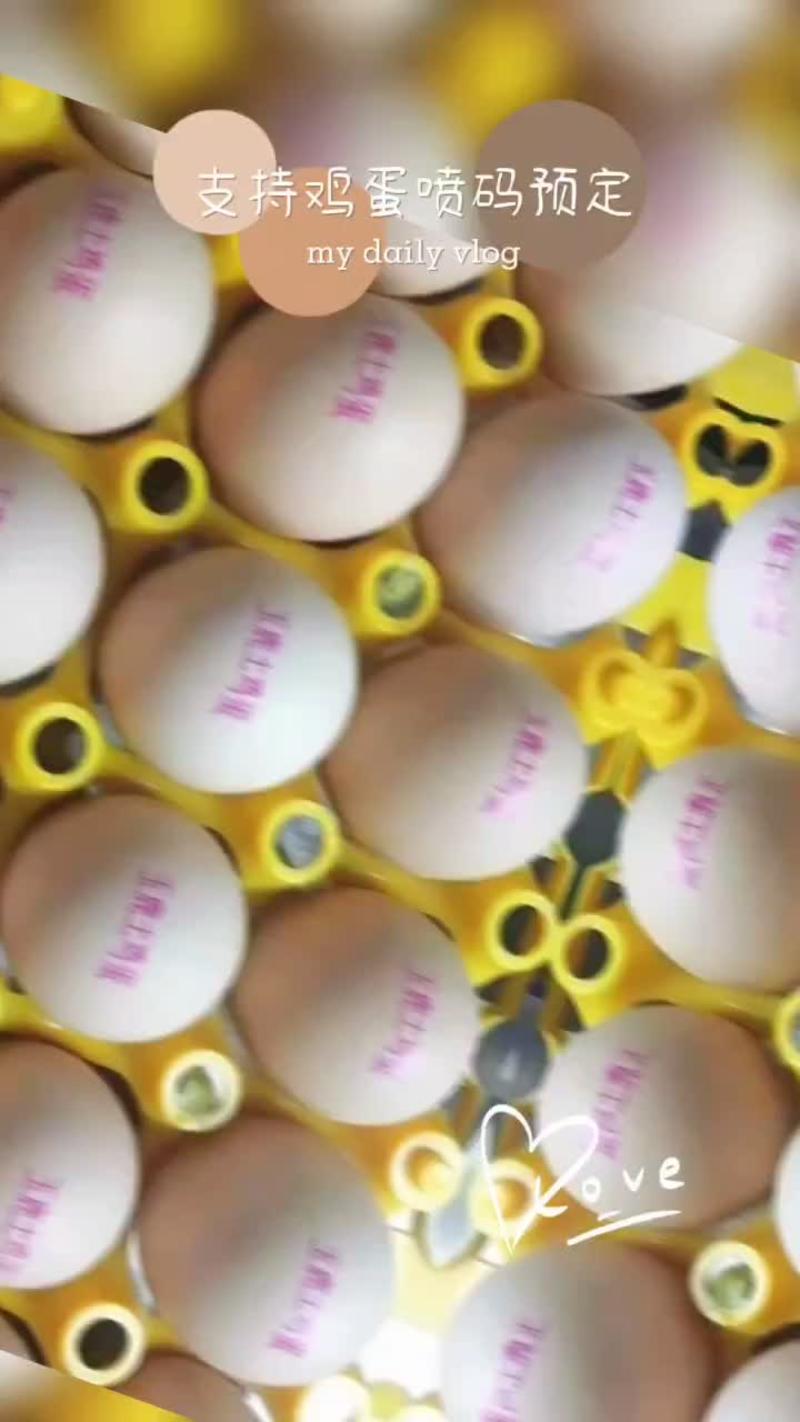 富硒鸡蛋喷码代工喷码鸡蛋支持一件代发支持检测报