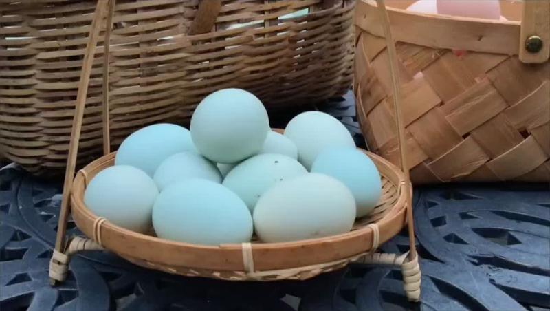 富硒绿壳鸡蛋、山泉水养殖口感好支持定制化纯、富硒喂养