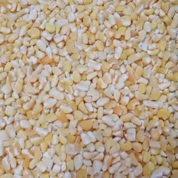 东北玉米-糯玉米粘玉碴子粘度高支持视频看货代发全国
