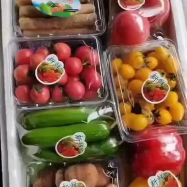 精品蔬菜套盒
