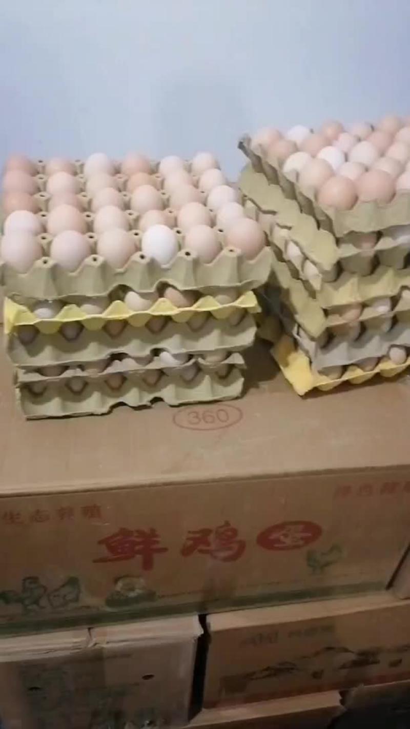 【鸡蛋】土鸡蛋湖北鸡蛋粉壳鸡蛋绿壳鸡蛋白壳鸡蛋来电更优惠