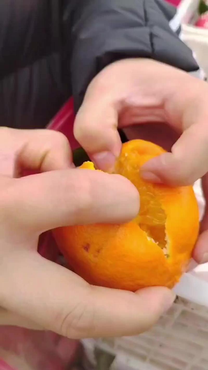 爱媛果冻橙便宜处理了需要的联系