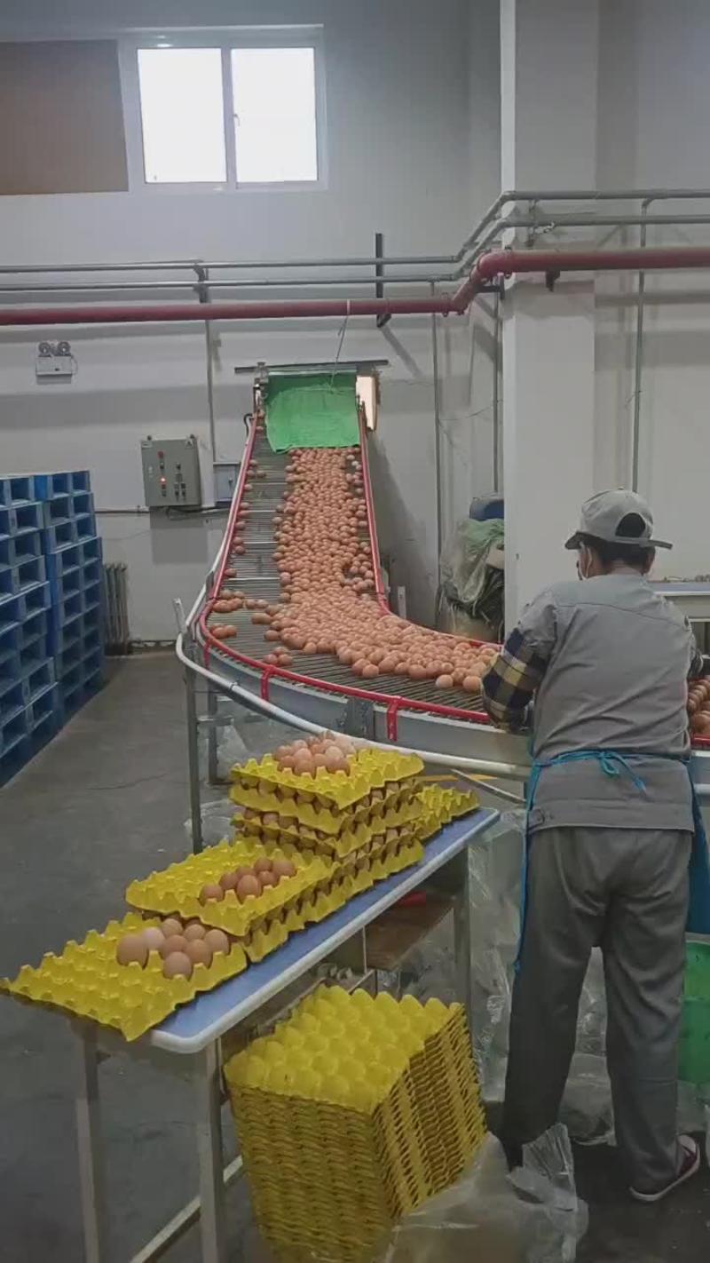 兰州市榆中县德青源鸡蛋厂，长年供货，量大从优。