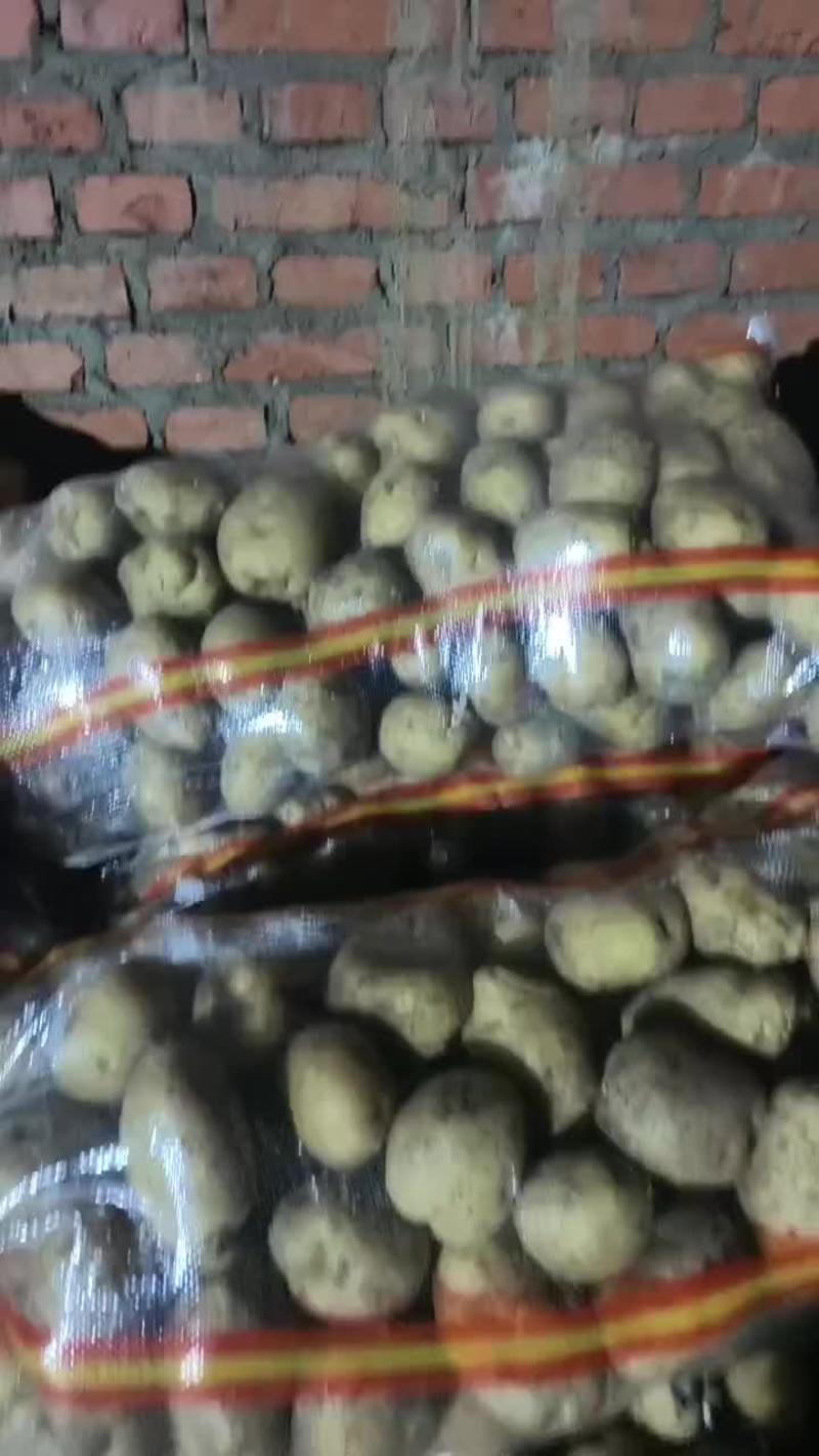 东北商品土豆