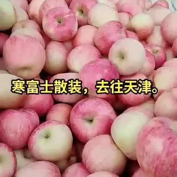 河北青龙县冷库红富士苹果