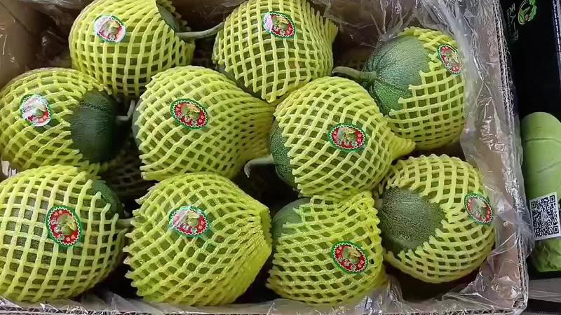 山东绿宝石甜瓜大量上市供应，保证质量，保退货！