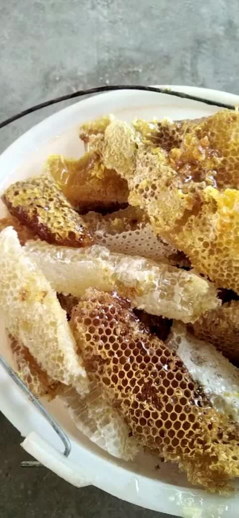 正宗中华土蜂蜜，野蜂蜜，百花蜜