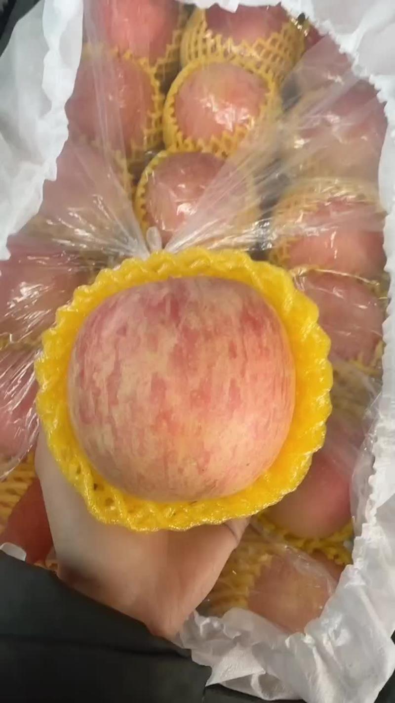 山东红富士苹果口感脆甜商超电商供货质优价廉
