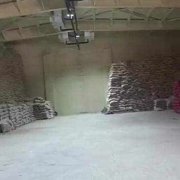 花生米油料米电商米商品米产地大量供应