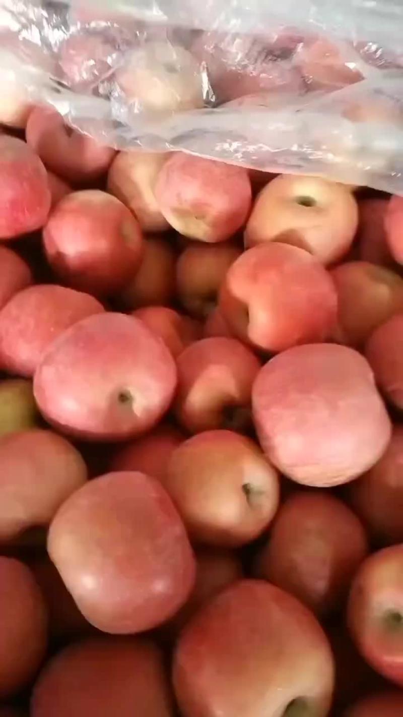 红富士苹果产地，山东苹果基地直销价格便宜货源充足