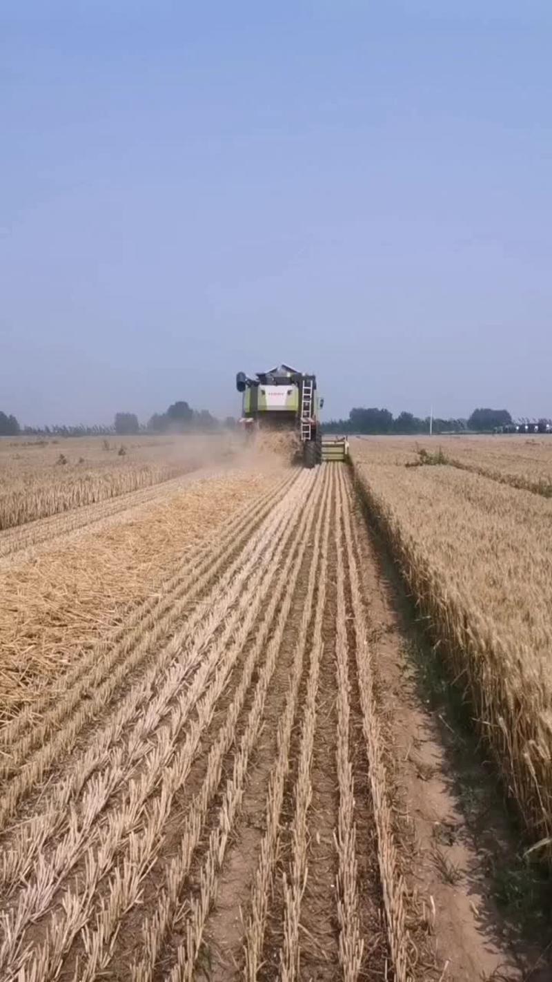 小麦秸秆一次成型大方包