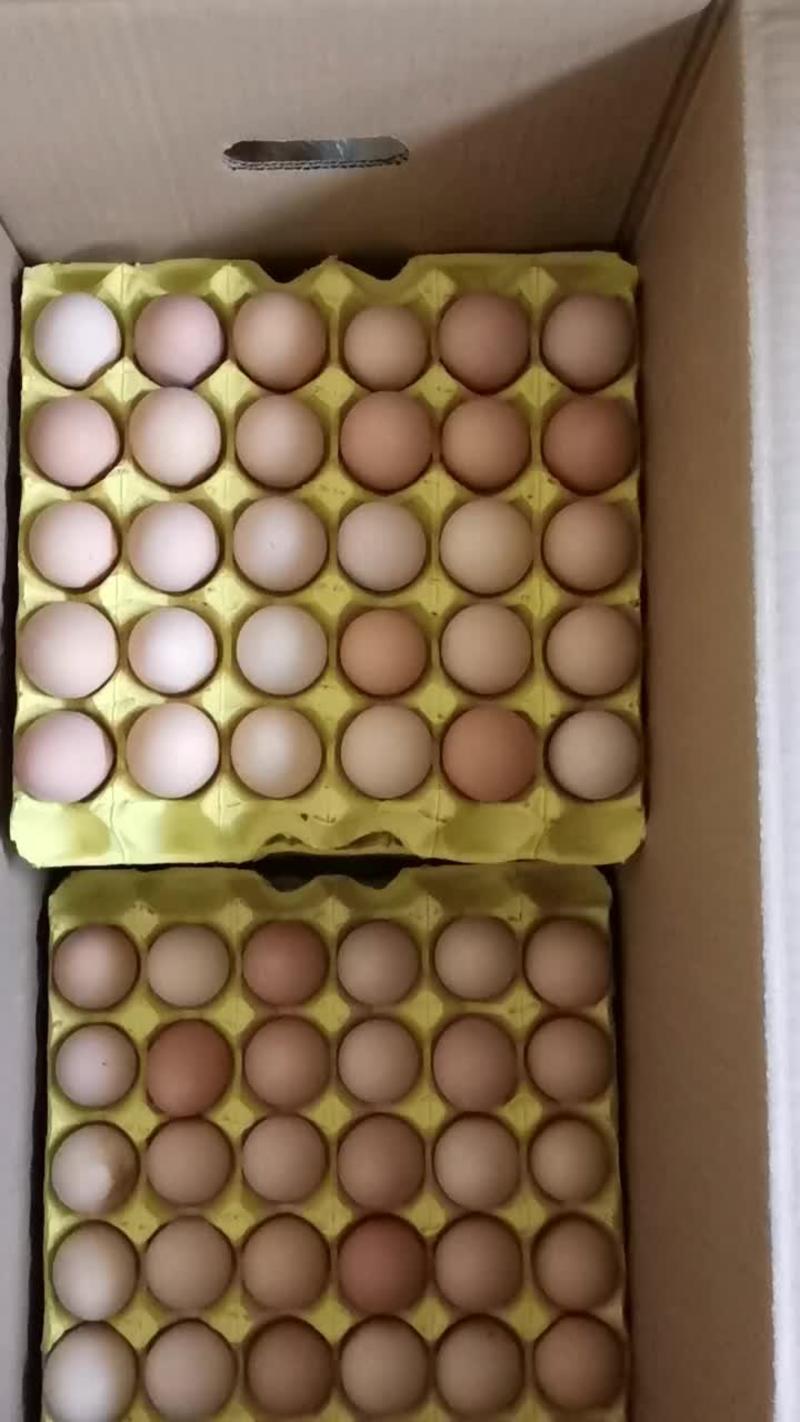 黑凤草鸡蛋360枚各种规格自家养殖保证品质全国物流