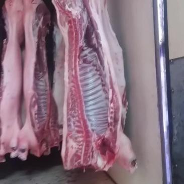 新鲜猪肉，零售分割批发