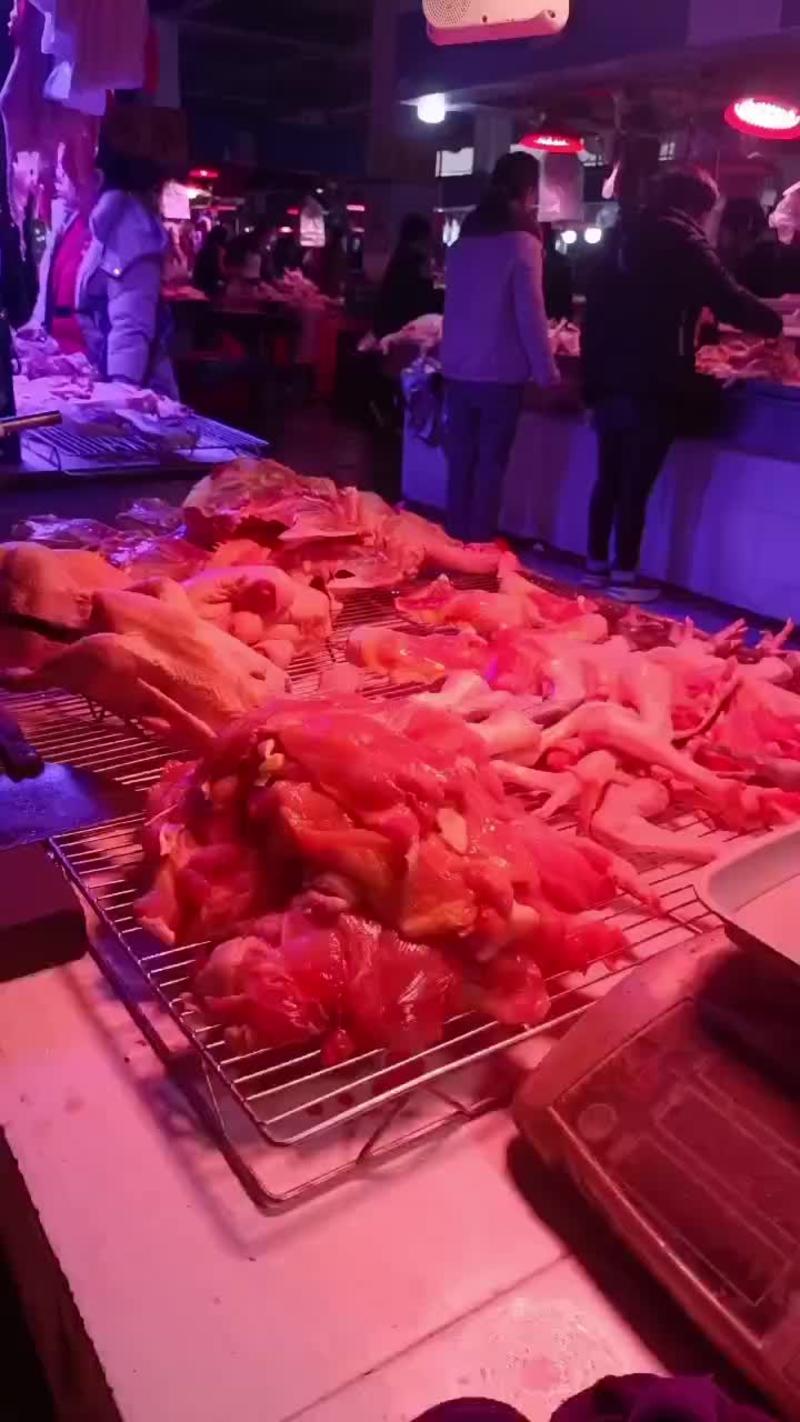 广东汕头养殖场批发光鸡全国可鸡