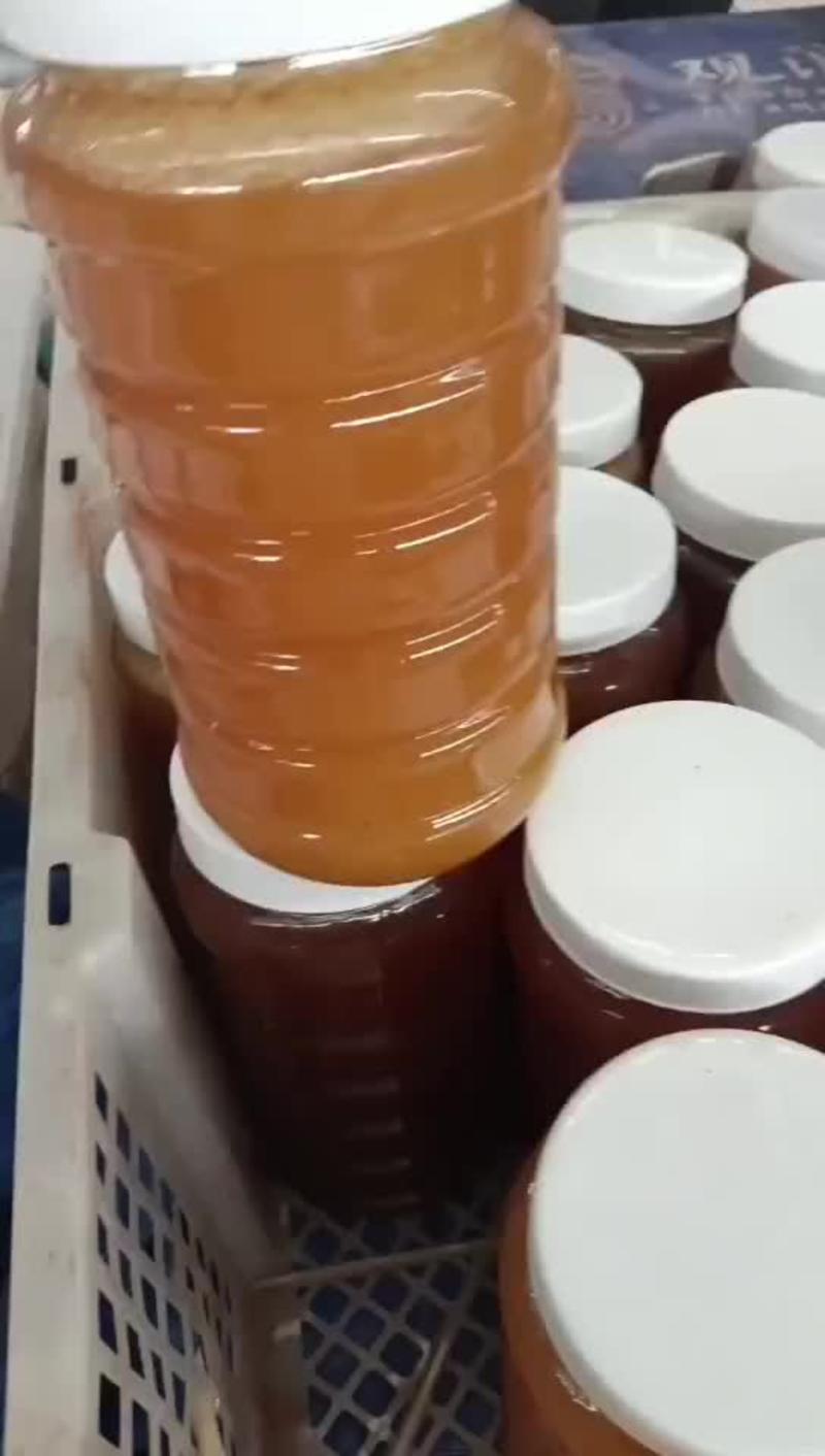 野生原生态蜂蜜云南蜂蜜一斤起批质量保证
